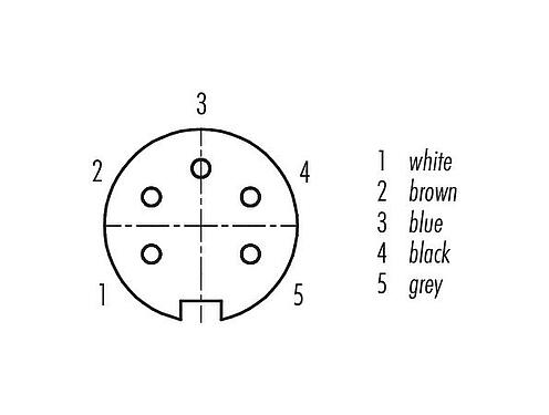 Contact arrangement (Plug-in side) M16 Female cable connector, Contacts: 5 (05-a), unshielded, moulded on the cable, IP67, PUR, black, 5 x 0.25 mm², 2 m