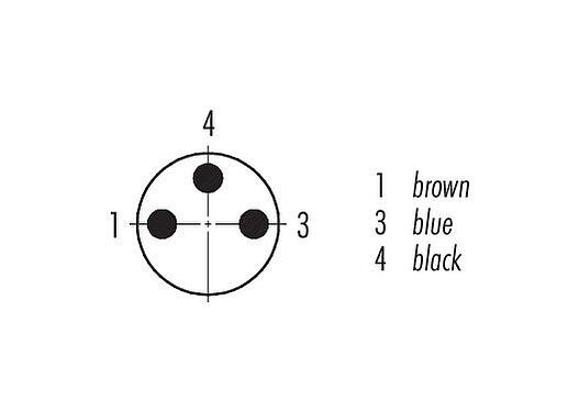 Contact arrangement (Plug-in side) M8 Male cable connector, Contacts: 3, 2.0-3.5 mm, shieldable, solder, IP67
