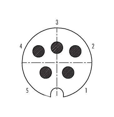 Contact arrangement (Plug-in side) 09 0039 00 05 - M25 Male panel mount connector, Contacts: 5, shieldable, solder, IP40