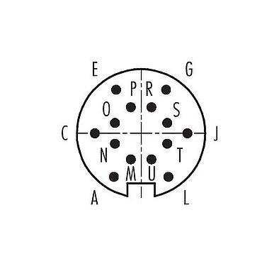 Contact arrangement (Plug-in side) 99 5451 15 14 - M16 Male cable connector, Contacts: 14 (14-b), 4.0-6.0 mm, shieldable, solder, IP67, UL
