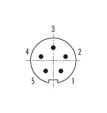 联系安排 (外掛程式側) 99 0413 75 05 - M9 弯角针头电缆连接器, 极数: 5, 3.5-5.0mm, 可接屏蔽, 焊接, IP67