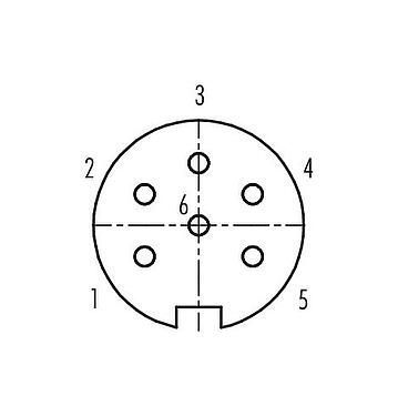 Contact arrangement (Plug-in side) Push Pull Female panel mount connector, Contacts: 6, unshielded, solder, IP40, M21x1,0, Front mounting