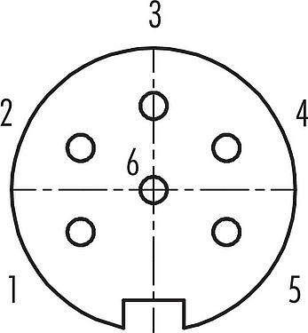 联系安排 (外掛程式側) Push Pull 直头孔头电缆连接器, 极数: 6, 4.0-8.0mm, 可接屏蔽, 焊接, IP67