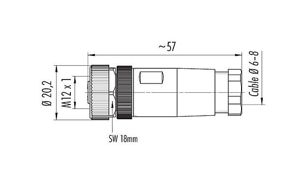 比例图 M12 直头孔头电缆连接器, 极数: 4, 6.0-8.0mm, 非屏蔽, 螺钉接线, IP67, UL 2238, VDE