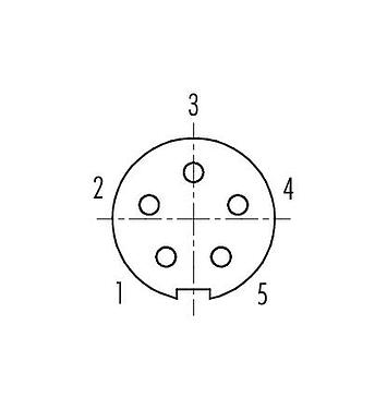 联系安排 (外掛程式側) 99 0414 70 05 - M9 弯角孔头电缆连接器, 极数: 5, 3.5-5.0mm, 非屏蔽, 焊接, IP67