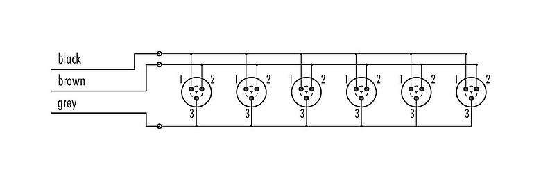 Pin assignment plans Snap-In 6-way distributor, Contacts: 3, unshielded, moulded on the cable, IP67, 3 x 0.75 mm²