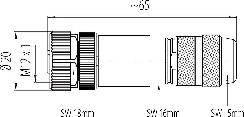 比例图 M12 直头孔头电缆连接器, 极数: 4, 8.0-9.0mm, 可接屏蔽, 螺钉接线, IP67, UL 2238, 鸢尾花