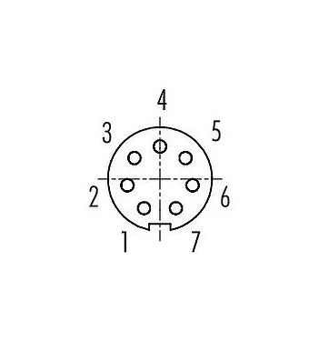 联系安排 (外掛程式側) 09 0478 00 07 - M9 孔头法兰座, 极数: 7, 非屏蔽