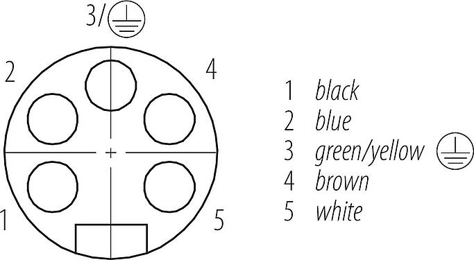Contact arrangement (Plug-in side) 7/8" Female angled connector, Contacts: 5, unshielded, moulded on the cable, IP68, UL 2238, PUR, black, 5 x 1.50 mm², 5 m