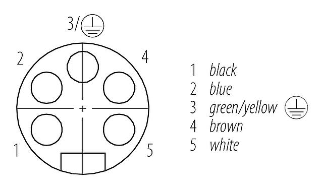 Contact arrangement (Plug-in side) 7/8" Female angled connector, Contacts: 5, unshielded, moulded on the cable, IP68, UL 2238, PUR, black, 5 x 1.50 mm², 5 m