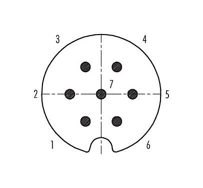 Contact arrangement (Plug-in side) 09 0065 00 07 - Bayonet Male panel mount connector, Contacts: 7, unshielded, solder, IP40