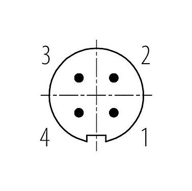 Contact arrangement (Plug-in side) 99 0079 100 04 - M9 Male cable connector, Contacts: 4, 3.0-4.0 mm, unshielded, solder, IP40