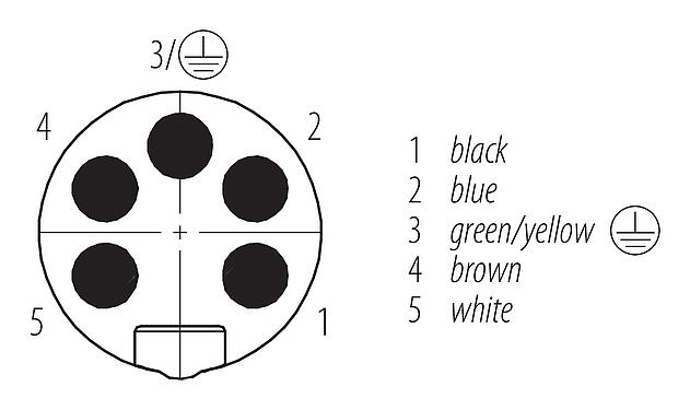 联系安排 (外掛程式側) 7/8" 针头法兰座, 极数: 4+PE, 非屏蔽, 带导线, IP68, UL 2238, VDE, 板前安装, 模压成型