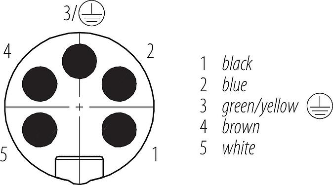 Contact arrangement (Plug-in side) 7/8" Male angled connector, Contacts: 5, unshielded, moulded on the cable, IP68, UL 2238, PUR, black, 5 x 1.50 mm², 5 m