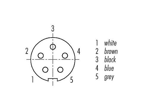 Contact arrangement (Plug-in side) 79 1414 12 05 - M9 Female cable connector, Contacts: 5, shielded, moulded on the cable, IP67, PUR, black, 5 x 0.25 mm², 2 m