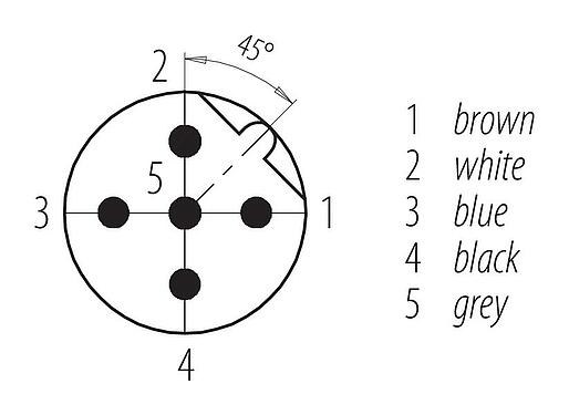 Contact arrangement (Plug-in side) M12 Male panel mount connector, Contacts: 5, unshielded, single wires, IP68, UL 2238, PG 9, Front mounting
