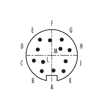 联系安排 (外掛程式側) 09 4835 80 12 - Push Pull 针头法兰座, 极数: 12, 非屏蔽, 焊接, IP67, 板前安装