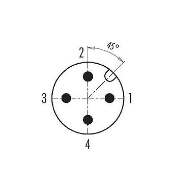 Contact arrangement (Plug-in side) 99 0429 142 04 - M12 Male cable duo connector, Contacts: 4, 2.1-3.0 mm (2 cable), unshielded, screw clamp, IP67, UL