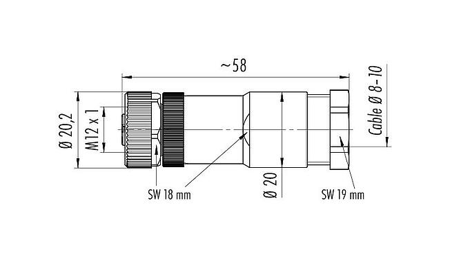 比例图 99 0690 19 04 - M12 直头孔头电缆连接器, 极数: 3+PE, 8.0-10.0mm, 非屏蔽, 螺钉接线, IP67, UL, VDE