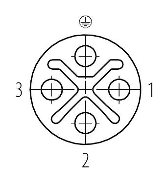 联系安排 (外掛程式側) M12 直头孔头电缆连接器, 极数: 3+PE, 6.0-8.0mm, 非屏蔽, 螺钉接线, IP67, UL 2238, VDE