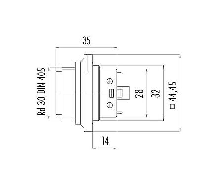 Scale drawing RD30 Male panel mount connector, Contacts: 12+PE, unshielded, solder, IP65, Front mounting