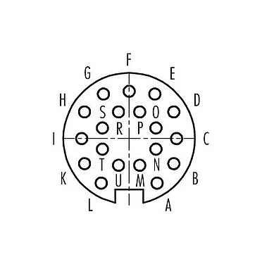 Contact arrangement (Plug-in side) Push Pull Female cable connector, Contacts: 19, 4.0-8.0 mm, shieldable, solder, IP67