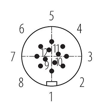 联系安排 (外掛程式側) Snap-in 快插 直头针头电缆连接器, 极数: 12, 6.0-8.0mm, 非屏蔽, 焊接, IP67, UL 2238, VDE