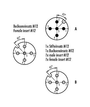 联系安排 (外掛程式側) 79 5255 190 05 - M12 双分线盒,T 型分配器, 插头 M12x1 - 2 个插座 M12x1, 极数: 5, 非屏蔽, 插拔式, IP68, UL