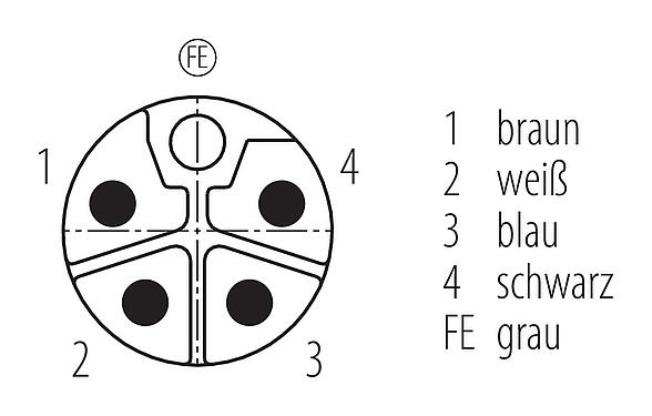 Contact arrangement (Plug-in side) 76 0243 0015 00044-0500 - M12 Male panel mount connector, Contacts: 4, unshielded, single wires, IP68, UL 2238, M16x1.5, Front mounting