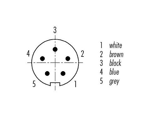 Contact arrangement (Plug-in side) M9 Male angled connector, Contacts: 5, unshielded, moulded on the cable, IP67, PUR, black, 5 x 0.25 mm², 5 m