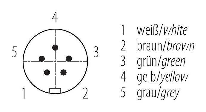 Contact arrangement (Plug-in side) Snap-In Male angled connector, Contacts: 5, 6.0-8.0 mm, unshielded, solder, IP67