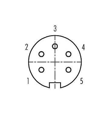 联系安排 (外掛程式側) 09 0116 780 05 - M16 孔头法兰座, 极数: 5 (05-a), 非屏蔽, 压接（压接触点必须单独订购）, IP67, UL, 板前安装