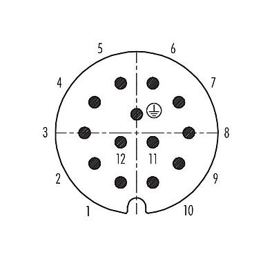 Polbild (Steckseite) 99 0717 03 13 - RD30 Kabelstecker, Polzahl: 12+PE, 14,0-18,0 mm, ungeschirmt, löten, IP65