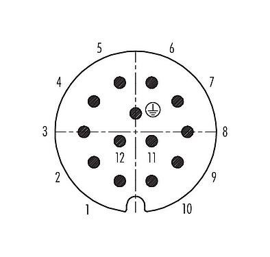 联系安排 (外掛程式側) RD30 直头针头电缆连接器, 极数: 12+PE, 14.0-18.0mm, 非屏蔽, 焊接, IP65