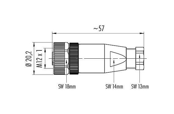 比例图 M12 直头孔头电缆连接器, 极数: 4, 6.0-8.0mm, 非屏蔽, 压接(压接触点必须单独订购), IP67, UL 2238
