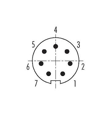 联系安排 (外掛程式側) 99 0421 115 07 - M9 直头针头电缆连接器, 极数: 7, 4.0-5.5mm, 可接屏蔽, 焊接, IP67