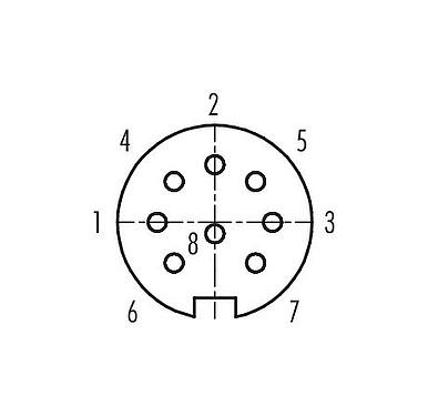 联系安排 (外掛程式側) 99 2062 10 08 - M16 直头孔头电缆连接器, 极数: 8 (08-a), 4.0-6.0mm, 可接屏蔽, 焊接, IP40