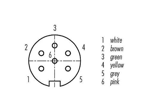 Contact arrangement (Plug-in side) M16 Female panel mount connector, Contacts: 6 (06-a), unshielded, single wires, IP40, M18x0,75, Rear mounting