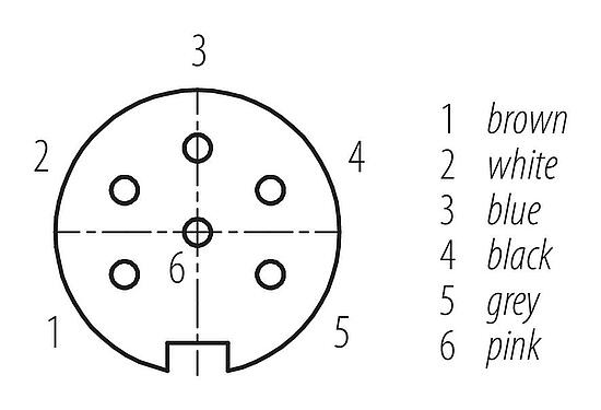 Contact arrangement (Plug-in side) 77 6434 0000 50006-0200 - M16 Female angled connector, Contacts: 6, unshielded, moulded on the cable, IP68, PUR, black, 6 x 0.25 mm², 2 m