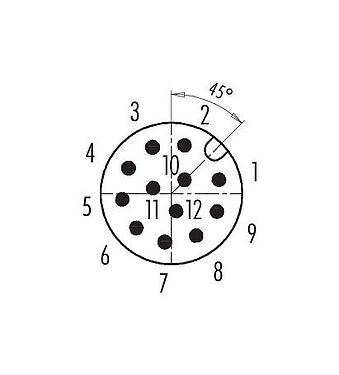 Contact arrangement (Plug-in side) 99 1491 914 12 - M12 Male cable connector, Contacts: 12, 8.0-10.0 mm, shieldable, solder, IP67, UL