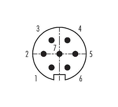 联系安排 (外掛程式側) 99 2025 702 07 - M16 直头针头电缆连接器, 极数: 7 (07-a), 6.0-8.0mm, 可接屏蔽, 压接（压接触点必须单独订购）, IP40