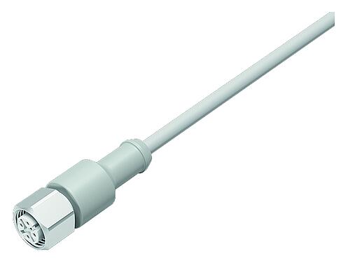 Illustration M12 Female cable connector, Contacts: 12, unshielded, moulded on the cable, IP67/IP69K, Ecolab, FDA compliant, Special TPE, grey, 12 x 0.25 mm², stainless steel, 5 m