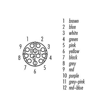 Contact arrangement (Plug-in side) M8 Female panel mount connector, Contacts: 12, unshielded, single wires, IP67/IP69K, UL 2238, M12x1.0, Rear mounting, potted