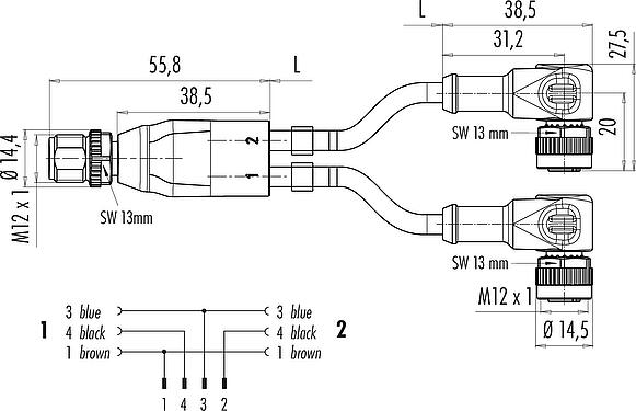 比例图 M12 公头电缆分线器 - 2 个母头弯角连接器, 极数: 4/3, 非屏蔽, 预铸电缆, IP68, UL 2238, PUR, 黑色, 3x0.34mm², 2m
