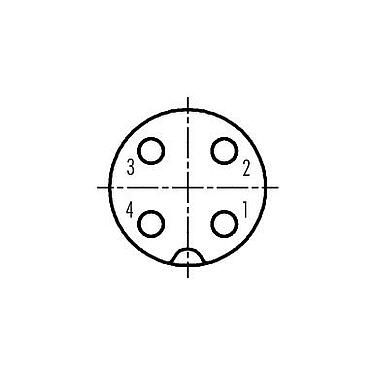 Disposición de los contactos (lado de la conexión) 99 0440 16 04 - M18 Conector de cable hembra, Número de contactos: 4, 10,0-12,0 mm, sin blindaje, tornillo extraíble, IP67