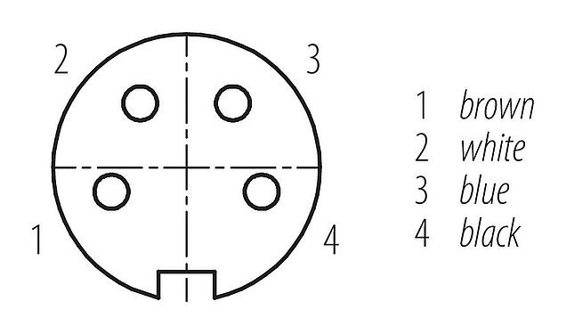 Contact arrangement (Plug-in side) 77 6430 0000 50004-0200 - M16 Female cable connector, Contacts: 4, unshielded, moulded on the cable, IP68, PUR, black, 4 x 0.34 mm², 2 m