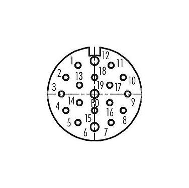 Contact arrangement (Plug-in side) 99 4632 70 19 - M23 Female angled connector, Contacts: 19, 6.0-10.0 mm, unshielded, solder, IP67