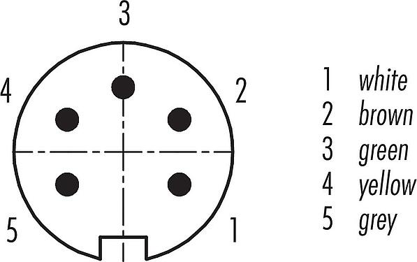 Contact arrangement (Plug-in side) M16 Male panel mount connector, Contacts: 5 (05-a), unshielded, single wires, IP40, M18x0,75, Front mounting