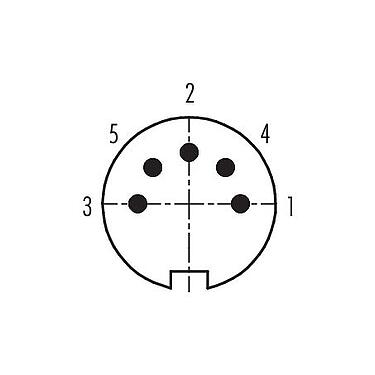Contact arrangement (Plug-in side) 99 5117 19 05 - M16 Male cable connector, Contacts: 5 (05-b), 4.0-6.0 mm, shieldable, solder, IP67, UL