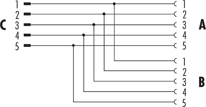 Pin assignment plans M12 Twin distributors, Y-distributor, male connector - 2 female connector, Contacts: 5, unshielded, pluggable, IP68, UL 2238, stainless steel